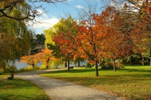 fun learning language institute HighPark